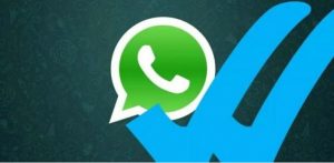 Whatsapp ya le informa si sus mensajes fueron leídos.