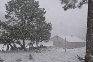 la caída de nieve o aguanieve en zonas montañosas con alturas superiores a los dos mil metros en Sonora, Chihuahua, Durango, Coahuila y Zacatecas. Foto: Notimex