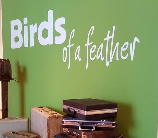 Muestra celebra la belleza de las aves en Arizona
