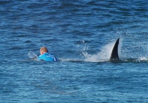 En esta imagen suministrada por la Liga Mundial de Surf, el surfista australiano Mick Fanning es perseguido por un tiburón durante una competencia en Jeffrey's Bay, Sudáfrica, el domingo, 19 de julio de 2015.  (W orld Surf League via AP)  MANDATORY CREDIT   FOR ALL ONLINE USE PLEASE INCLUDE A LINK TO WORLDSURFLEAGUE.COM.