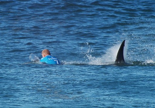 Surfista repele ataque de tiburón en plena competencia