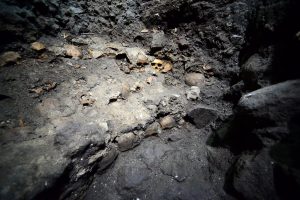 Arqueólogos del Instituto Nacional de Antropología e Historia, dieron a conocer el hallazgo del gran Tzompantli de México-Tenochitlan. Foto: Notimex