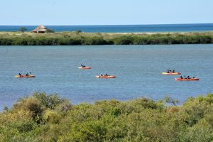 En la laguna El Estero del Soldado,  se pueden realizar actividades ecoturísticas de miércoles a domingo, en total armonía con la naturaleza. Foto: Notimex 