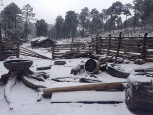 Para las próximas horas se pronostica la caída de nieve o aguanieve sobre las zonas montañosas de Chihuahua y Durango. Foto: Notimex