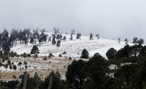 La declaratoria de emergenciase emitió debido a los daños que dejó una nevada severa ocurrida los pasados 12 y 13 de diciembre. Foto: Notimex