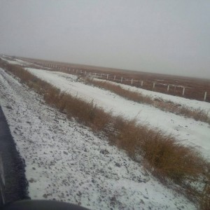 La circulación vía terrestre ha sido suspendida en varias partes de Sonora debido a las recientes nevadas. Foto: Notimex 