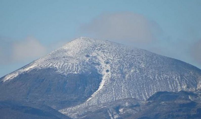 En Sonora, 20 municipios atienden emergencia por helada severa