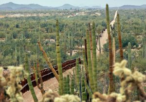 La iniciativa, llamada Mexican Operation Diablo Express, se produjo el viernes, cuando varias agencias de seguridad se reunieron en Lukeville, Arizona, en la frontera con México. Foto: AP