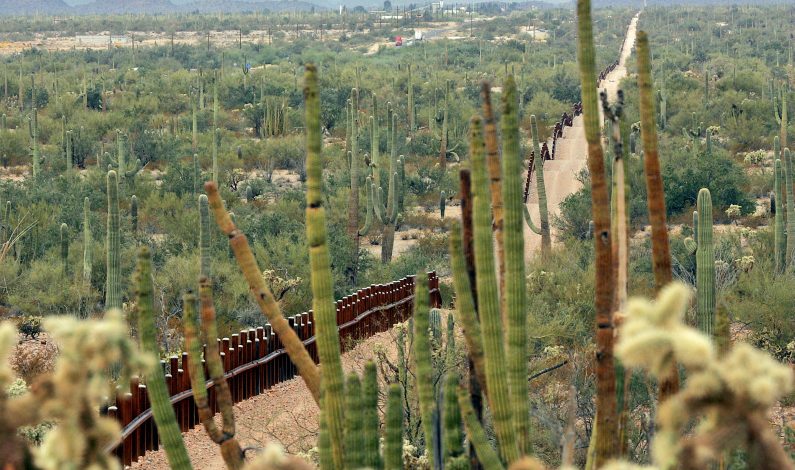 Detienen a miembros del cártel de Sinaloa en frontera México-Arizona