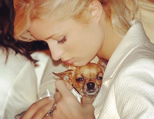 Devastada Paris Hilton por la muerte de su perrita