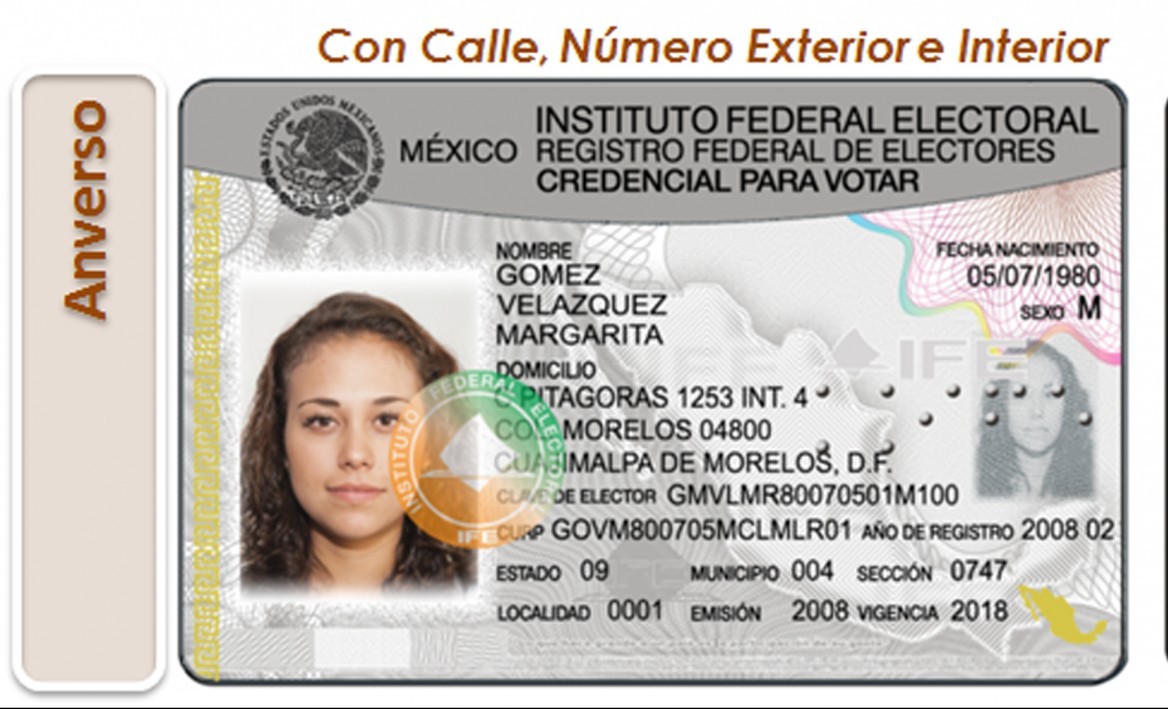 Credencial De Elector Rellenar