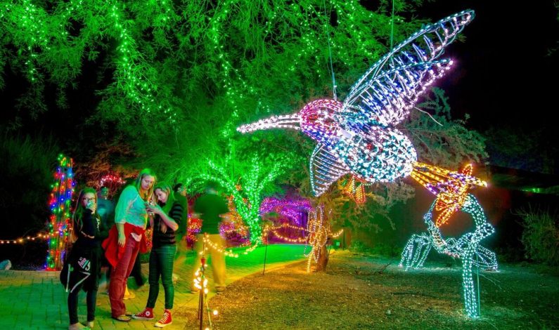 Encendido navideño en el Phoenix Zoo